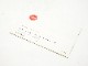 LEICA(�饤��)��M2 �谷������ (��ʸ) (TO-0715)�ڥ쥿���ѥå��饤��ȯ������/����������ô��