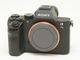 SONY(���ˡ�)����7 II��(ILCE-7M2)��(NW-3813)