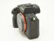 SONY(���ˡ�)����7 II��(ILCE-7M2)��(NW-3813)