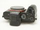 SONY(���ˡ�)����7 II��(ILCE-7M2)��(NW-3813)