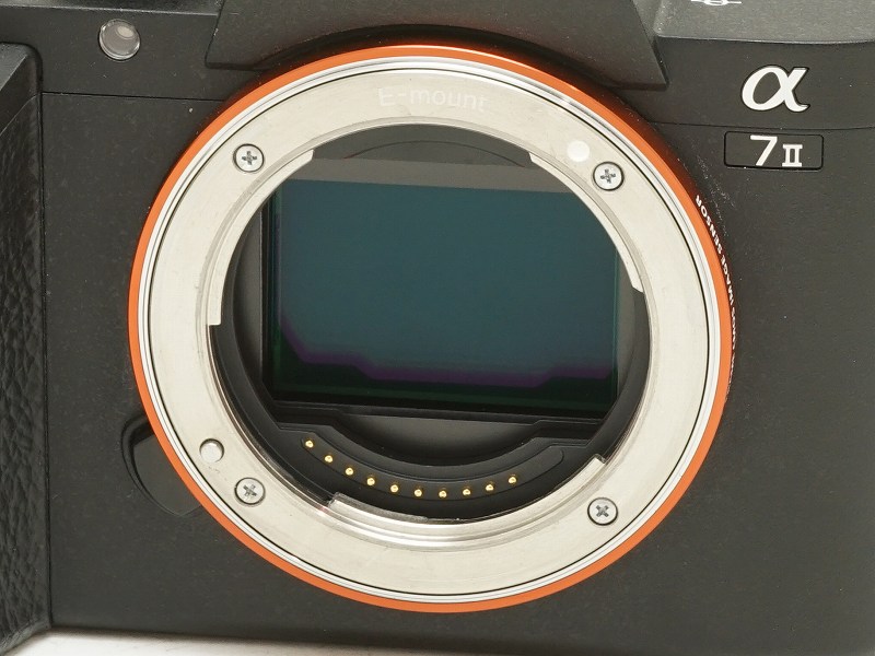 SONY(���ˡ�)����7 II��(ILCE-7M2)��(NW-3814)