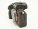 SONY(���ˡ�)����7 II��(ILCE-7M2)��(NW-3814)