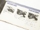 MINOLTA(�ߥΥ륿)��MINOLTA XG-E  �谷������ (TO-0654)�ڥ쥿���ѥå��饤��ȯ������/����������ô��