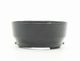 Nikon(�˥���)��Auto NIKKOR 50mm F2�� �᥿��ա��� (��F�׹��)��(0NAC-5228)