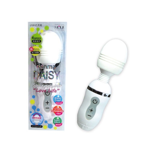 �ǥ�ޥǥ����� �ۥ磻��