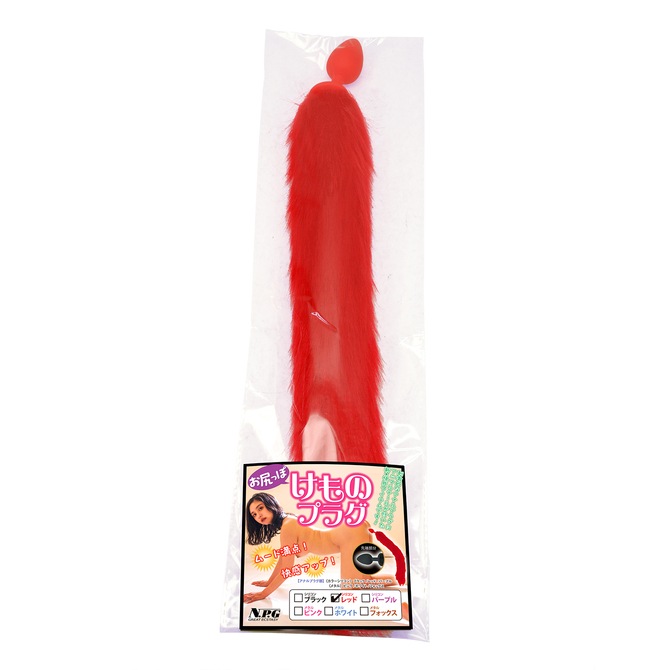 �����ä� ����Υץ饰 ���ꥳ�� ��å�