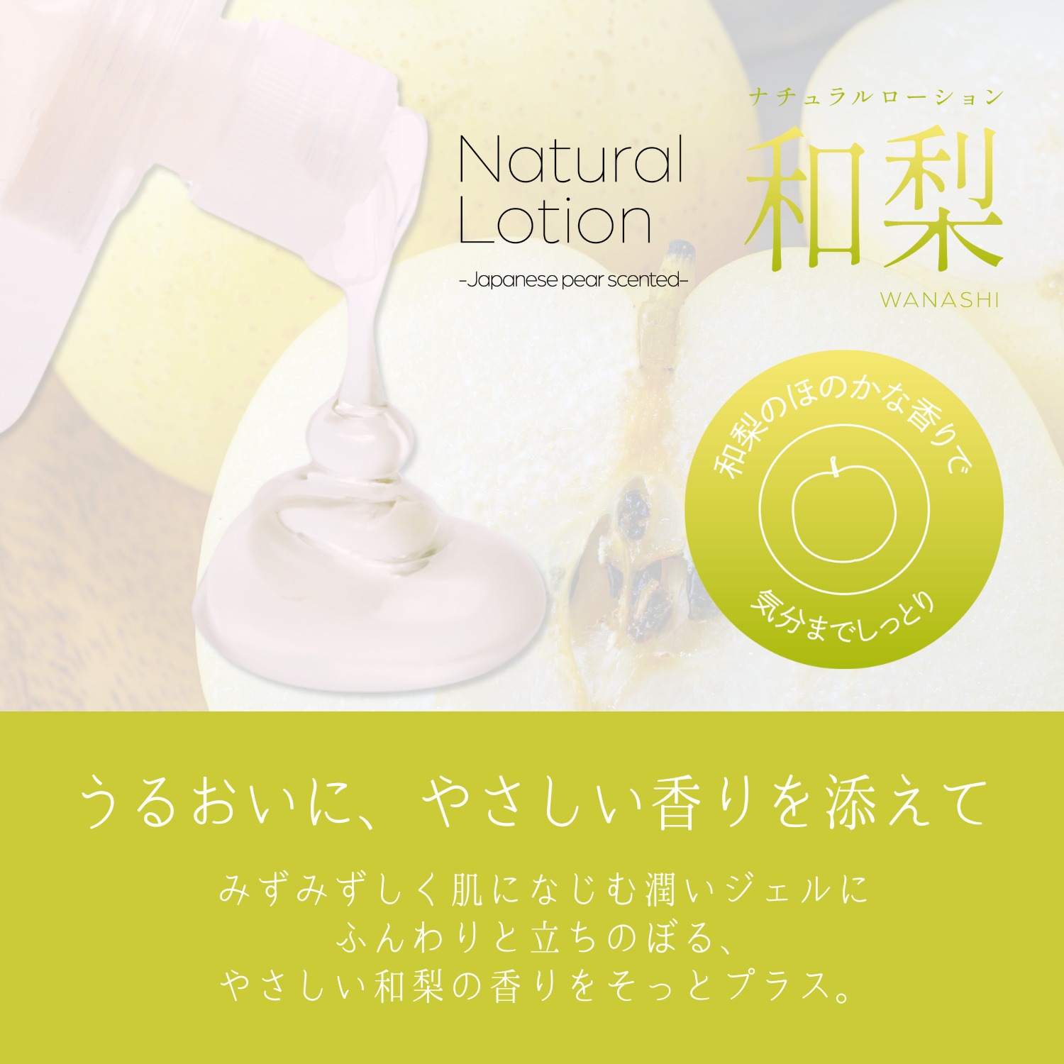 �ץ쥤�ե륫�顼�� �ʥ������������� ���� 150ml