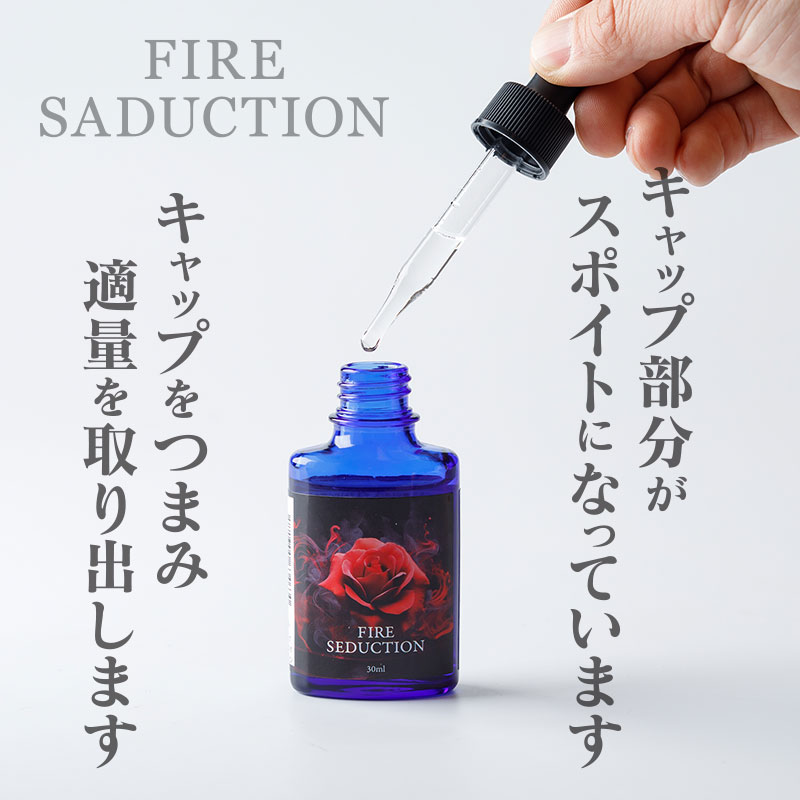 FIRE SEDUCTION / �ե����䡼�����������