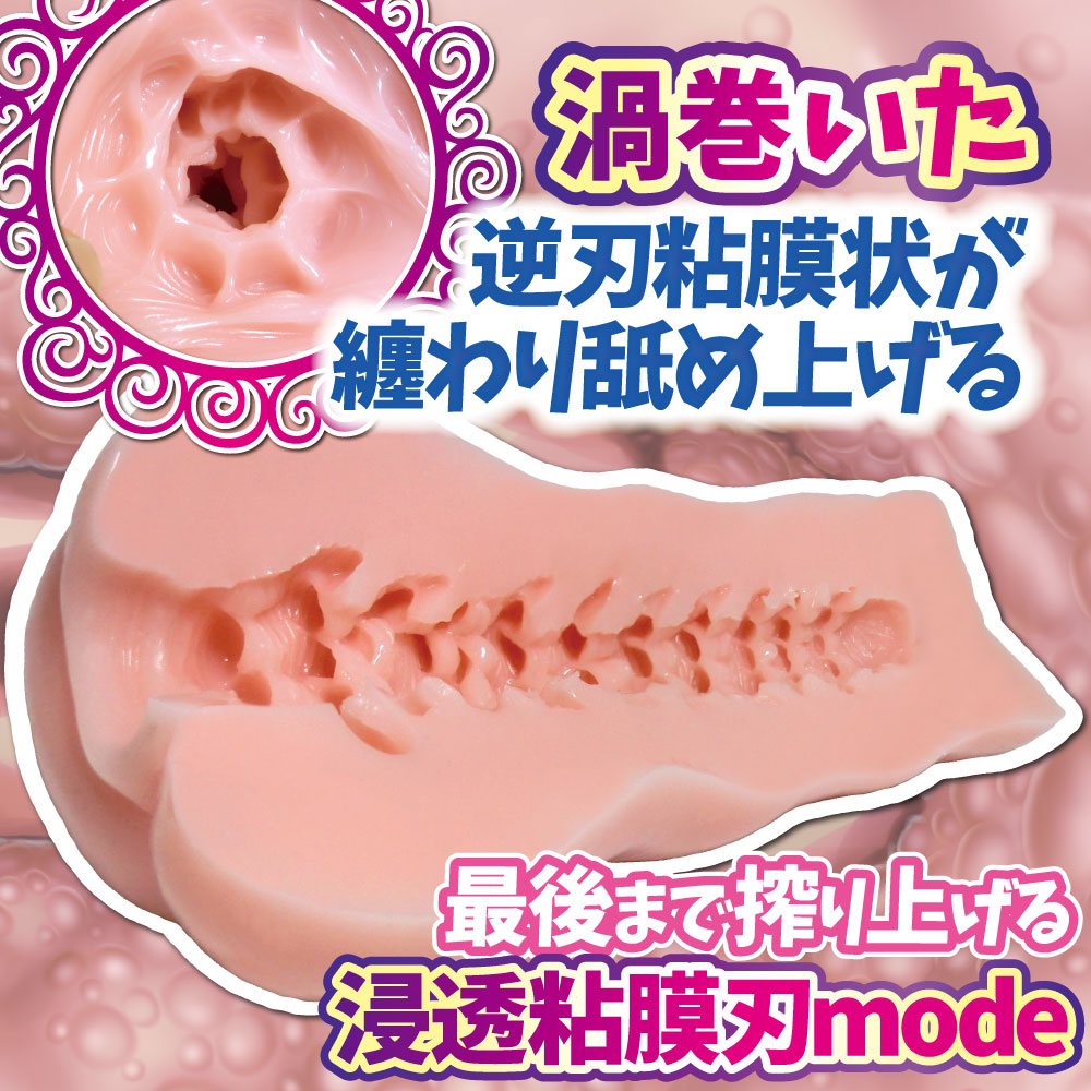 RIDE JAPAN ���ɥ���֥쥤��