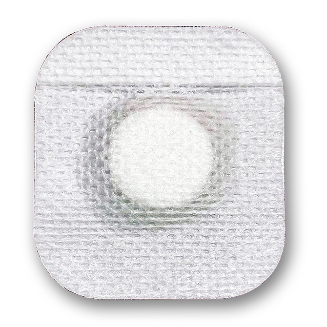 ���륮�͡��ȥѥå� 30��/Ȣ