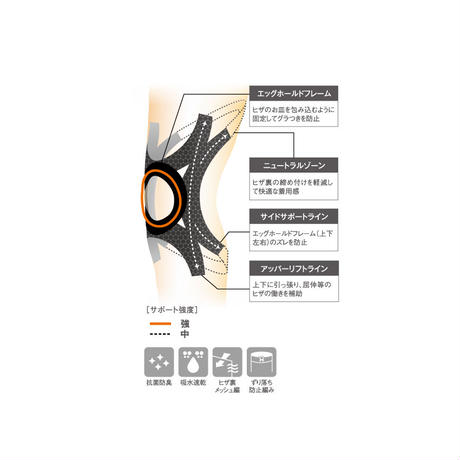 ���ꥳ�󥵥ݡ�������HOLZAC �ҥ����ݡ�����