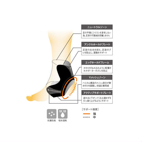 ���ꥳ�󥵥ݡ�������HOLZAC ­�󥵥ݡ�����