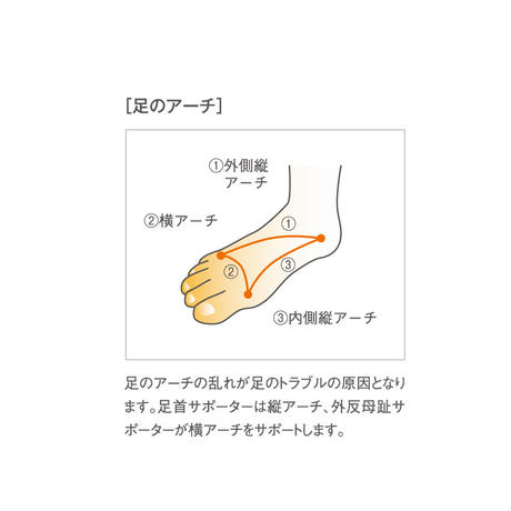 ���ꥳ�󥵥ݡ�������HOLZAC ­�󥵥ݡ�����