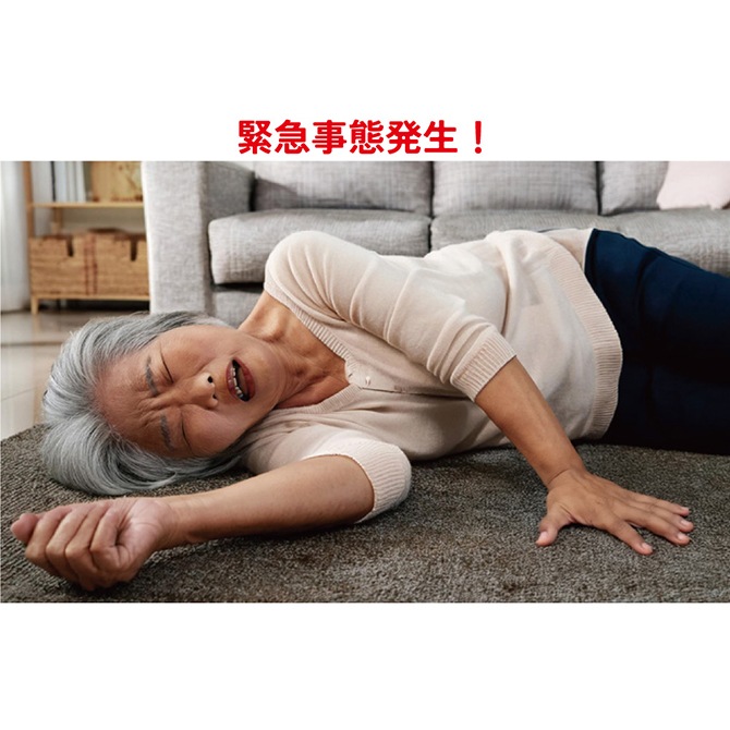 �磻��쥹�ܥ��󼰷���� �۵��к�110��