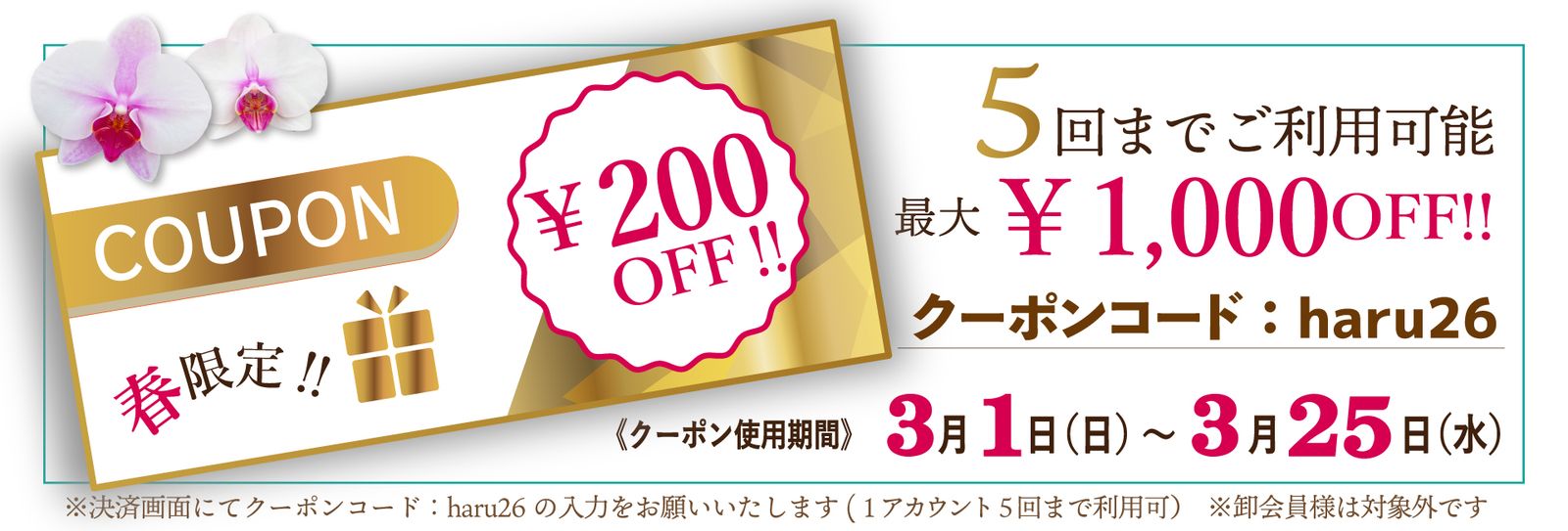 ※クーポンコードは会員ログイン後にご利用いただけます
