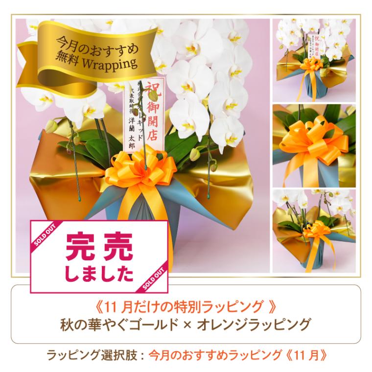 中輪胡蝶蘭「桜姫」2本立ち | 中輪胡蝶蘭 | ふじみ野ラン園 本店