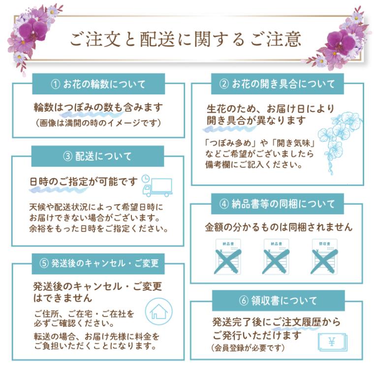 みらんさま専用です！他の方はご購入ご遠慮ください。 中輪胡蝶蘭「桜姫」2本立ち | 中輪胡蝶蘭 | ふじみ野ラン園 本店