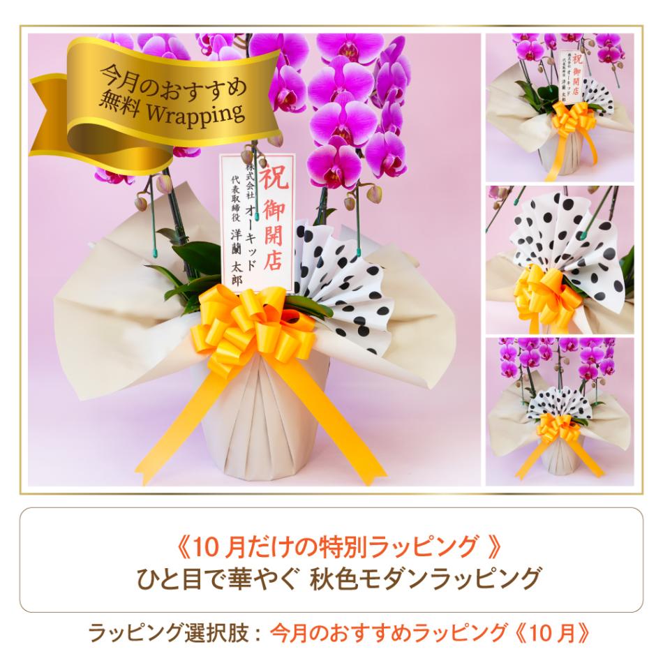 中輪スポット系胡蝶蘭「雅－MIYABI－」2本立ち | 中輪胡蝶蘭