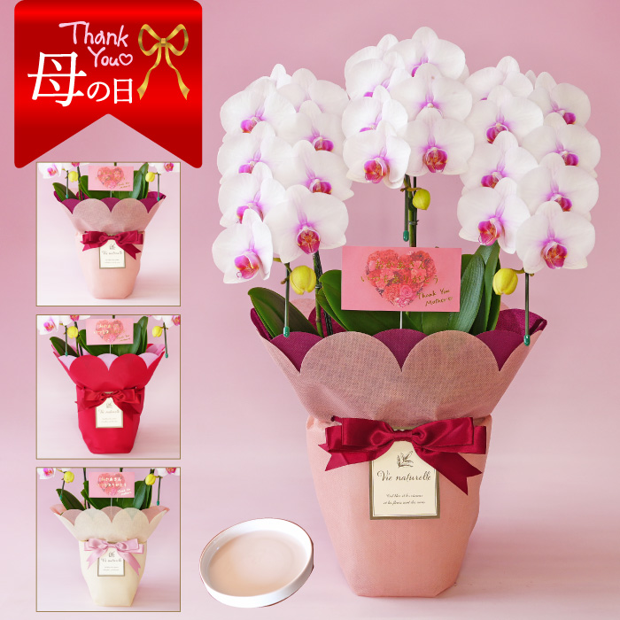 すべての商品