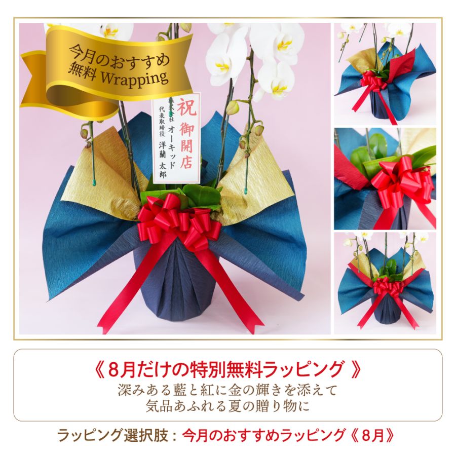 【月末奉仕品】富貴蘭　京美人（大株美術株開花中） 大輪胡蝶蘭「スプリングフェアリー」2本立ち | 大輪胡蝶蘭 | ふじみ野