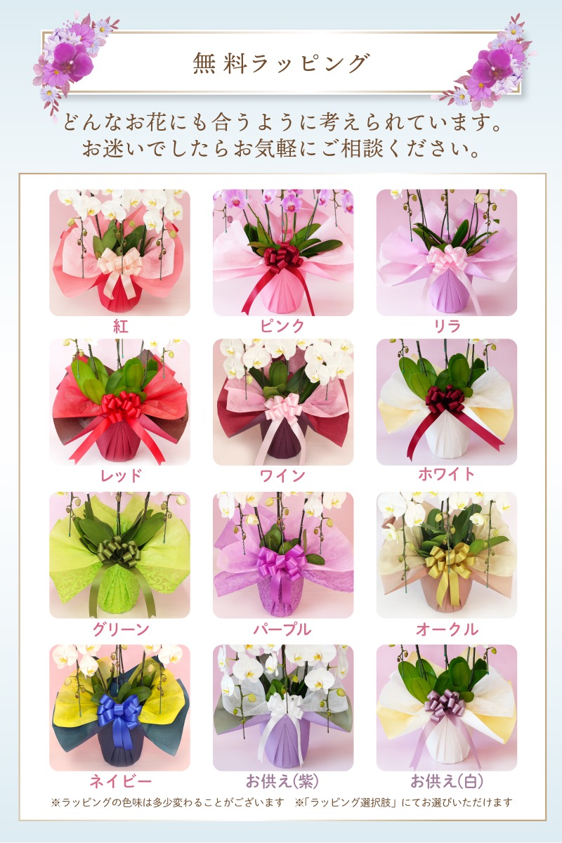 ★【福袋】４種５本立ちスペシャルMIX・和飾り付き特別セット！