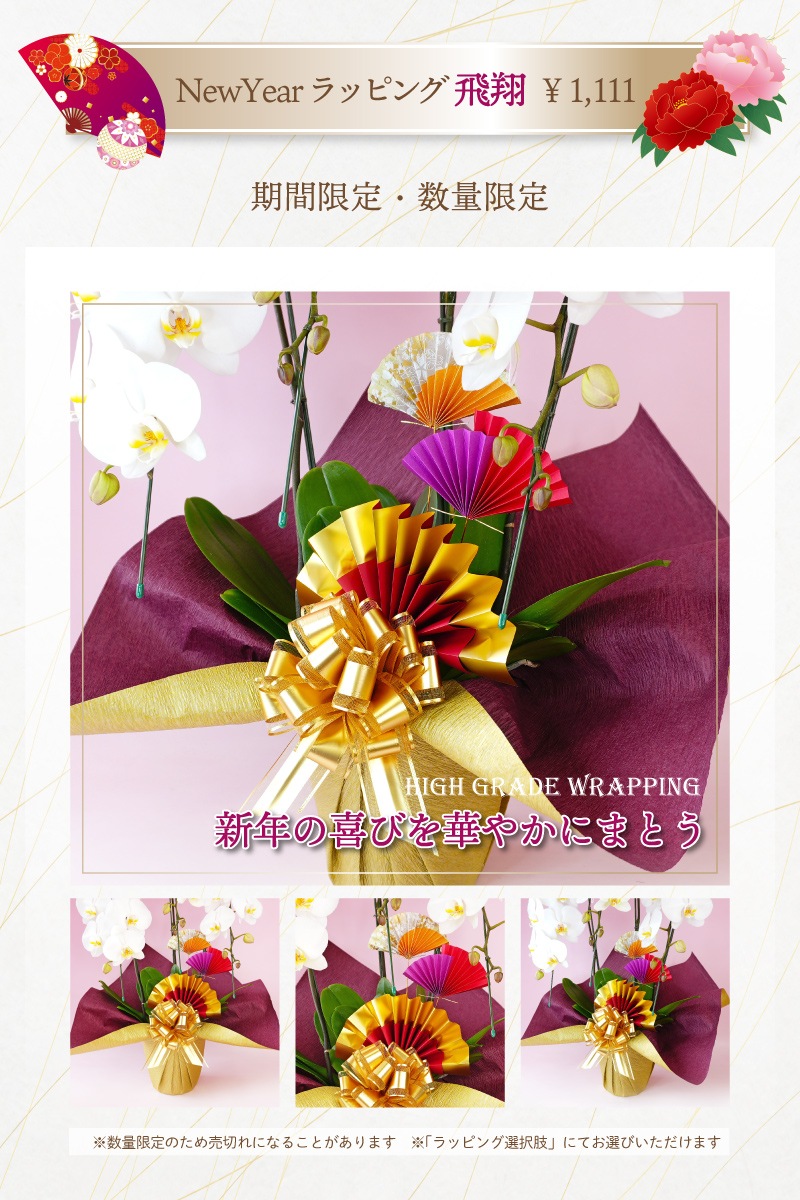 ★【福袋】４種５本立ちスペシャルMIX・和飾り付き特別セット！