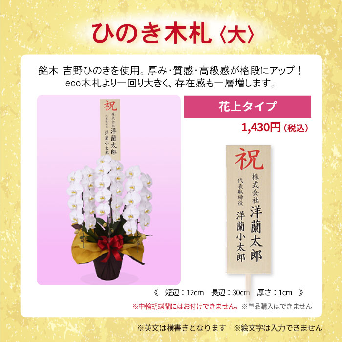 【ボリュームUP中！】大輪胡蝶蘭「ピンク」スタンダードクラス　3本立ち　27輪以上（今だけ！活力アンプル付き）