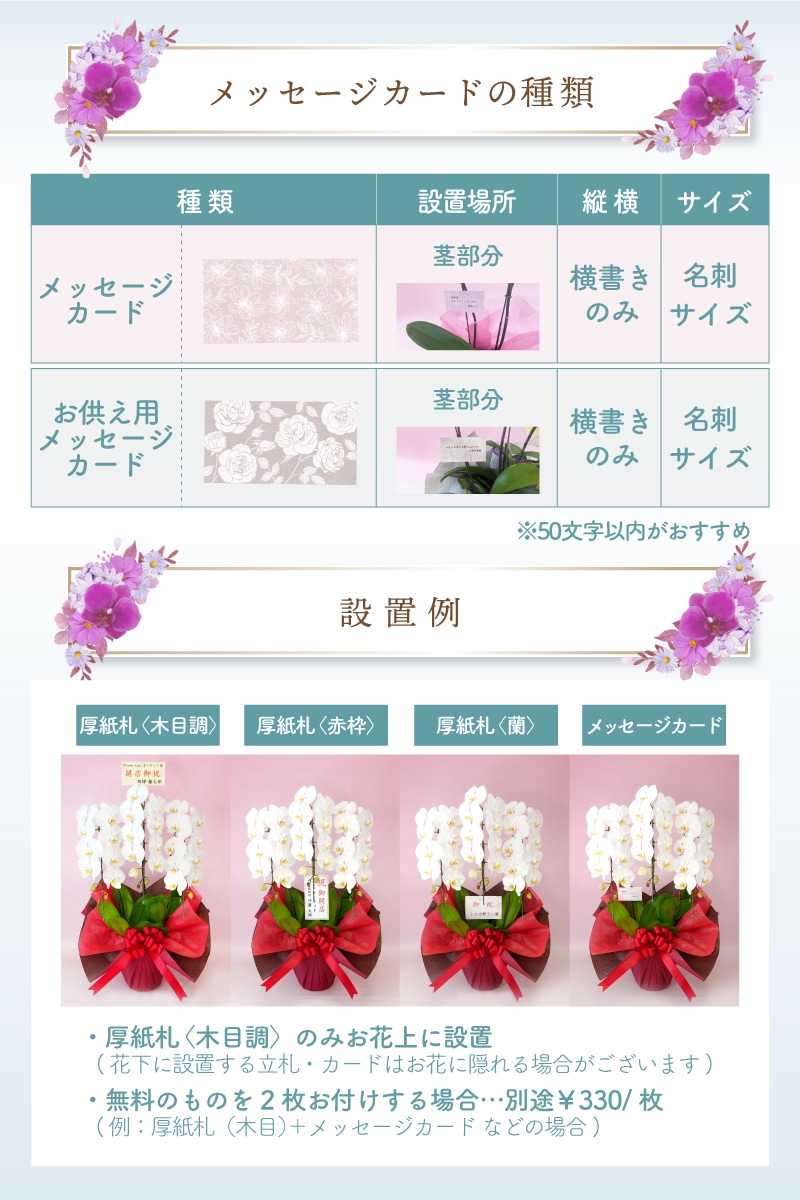 中輪胡蝶蘭「ジェシーズガール」7本立ち