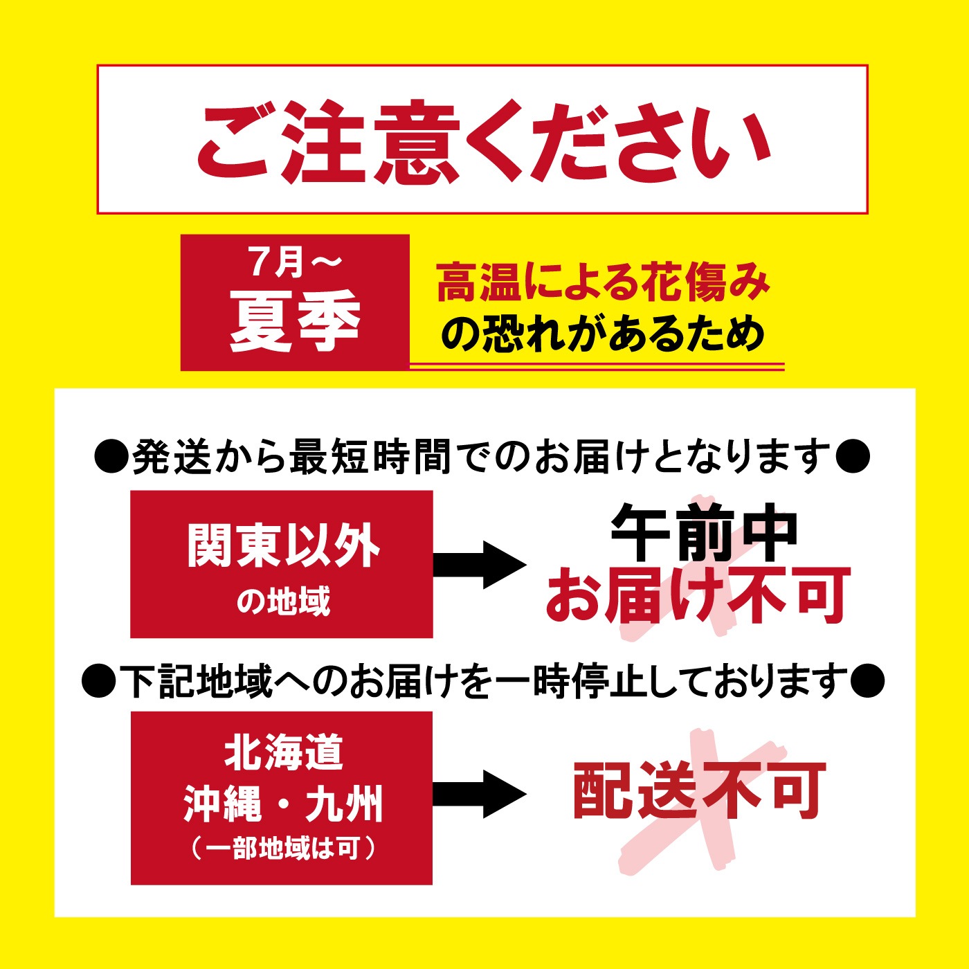 中輪胡蝶蘭「ジェシーズガール」7本立ち