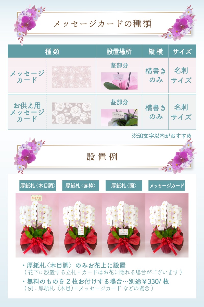 中輪胡蝶蘭「マダムホワイト」7本立ち