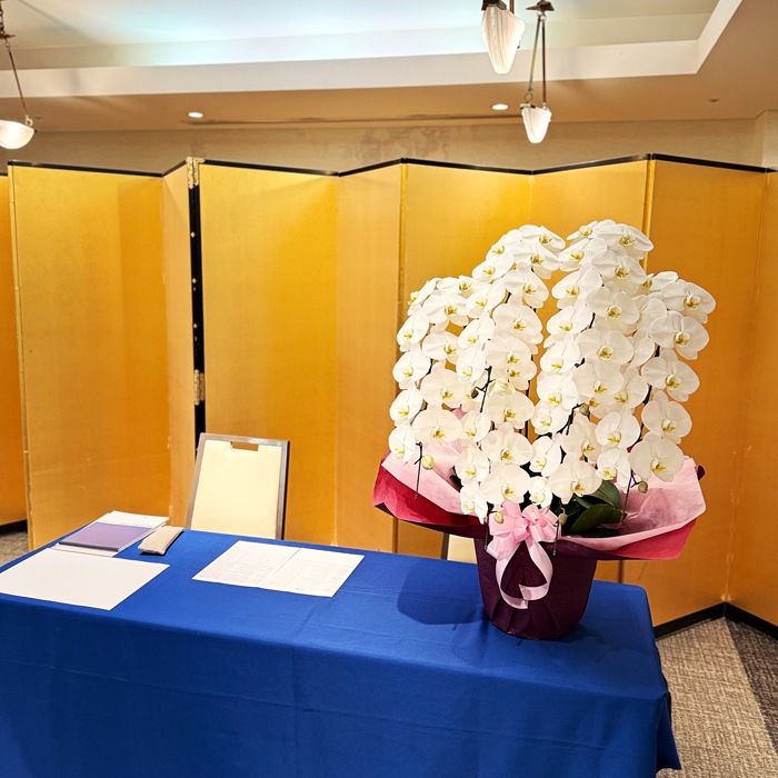 大輪胡蝶蘭「白」ラグジュアリークラス 6本立ち 60輪以上