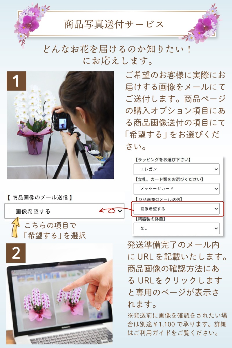 中輪胡蝶蘭「シルクオレンジ」3本立ち