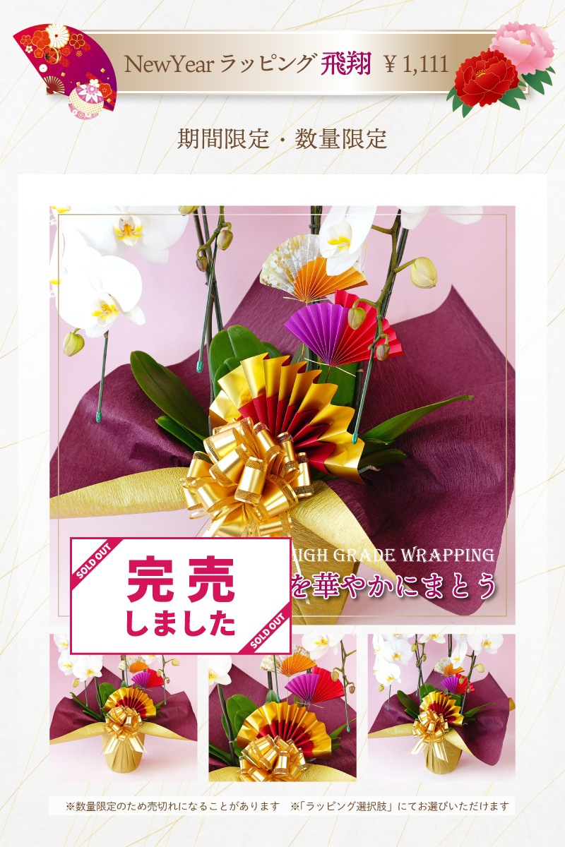 中輪胡蝶蘭「桜姫」スタンダードタイプ 3本立ち（現在つぼみ多め