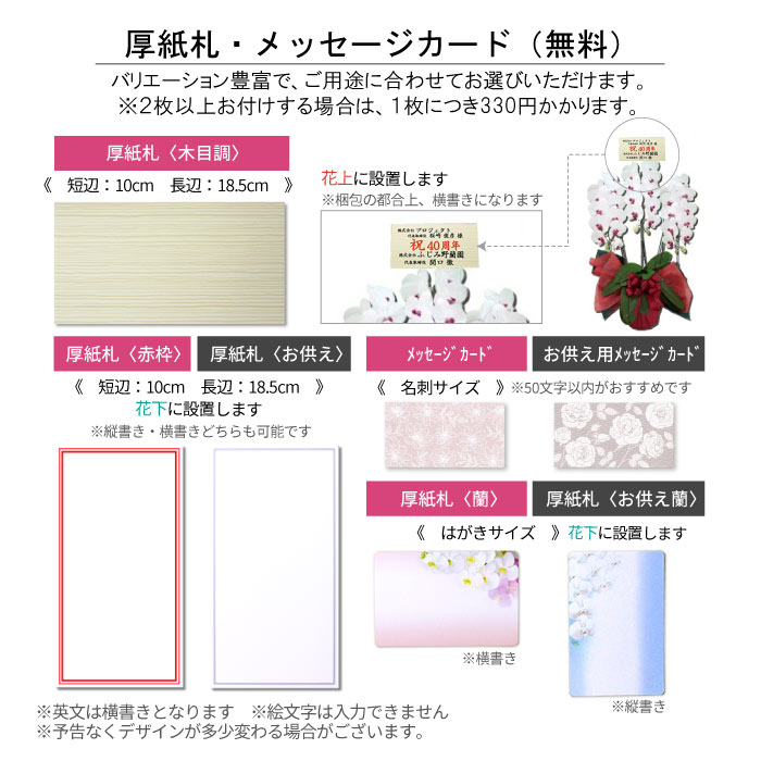 中輪胡蝶蘭「恋姫」2本立ち