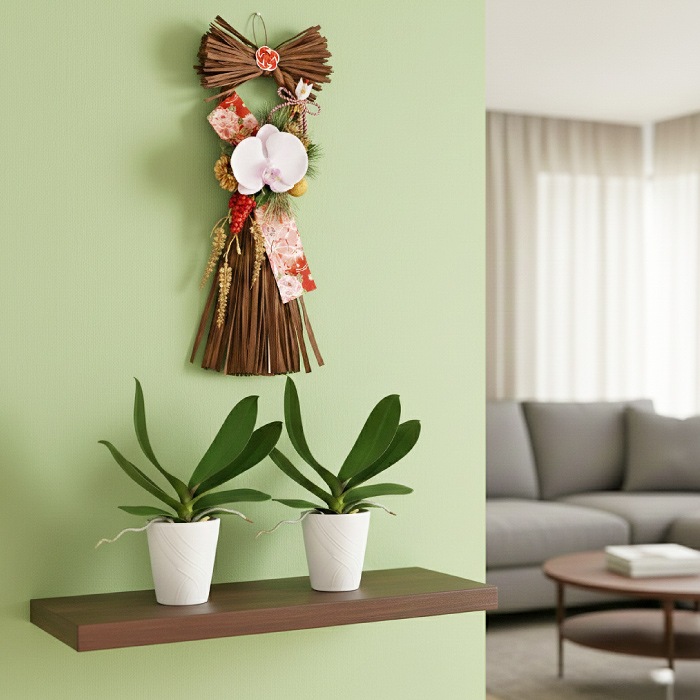 ★【福袋】選べる開花株２種・和飾り付き特別セット！