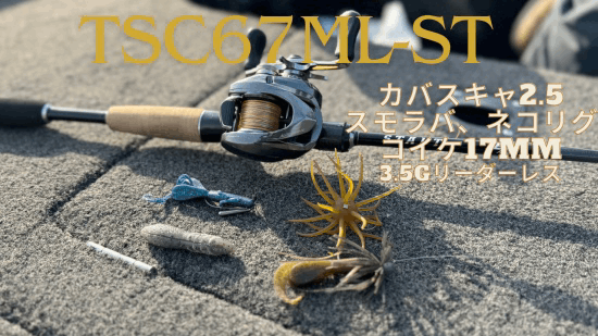 STAUT TSC67ML-ST | TEX | デジタルストラクチャー