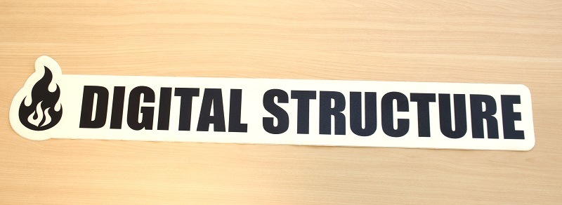 DS�����ڥåȥǥ�����W1100