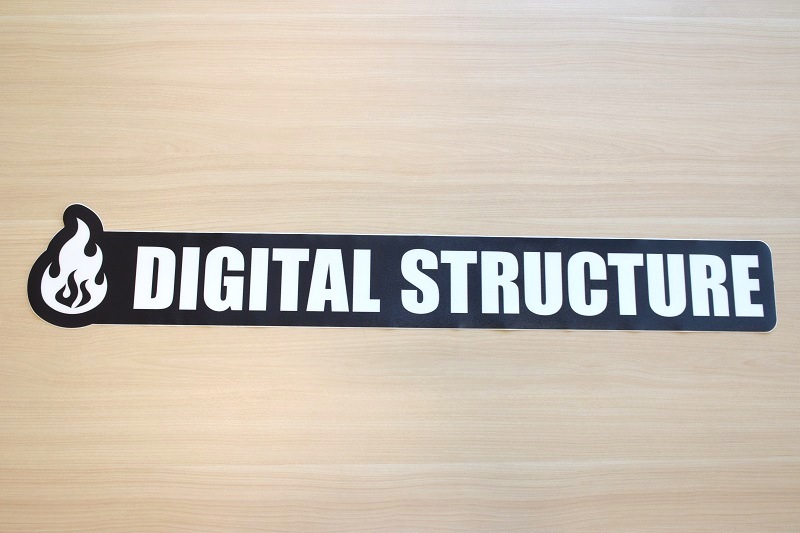 DS�����ڥåȥǥ�����W1100