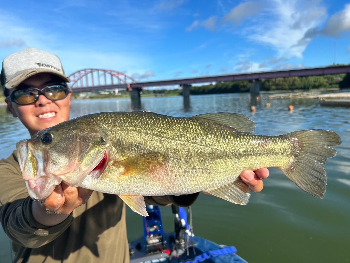 DS���硼�ȥХ��ǥå���(����ޥ��Ȼ���)