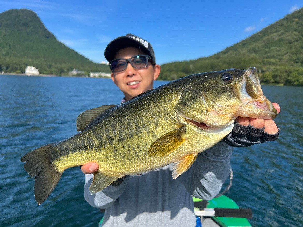 DS���硼�ȥХ��ǥå���(����ޥ��Ȼ���)