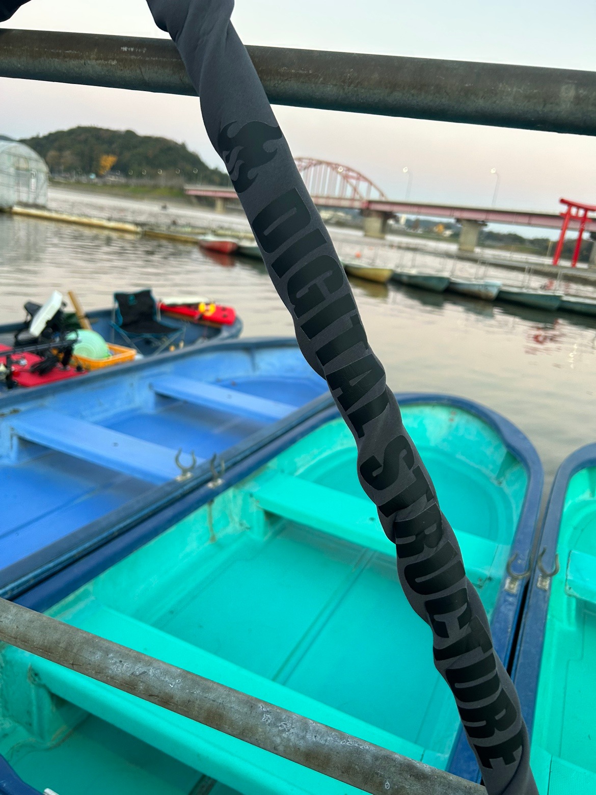 DS�磻�䡼���㥱�å�