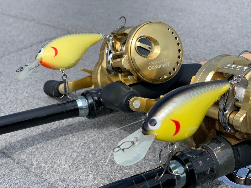 GLINT�ʥ����ȡˡ�2.0��