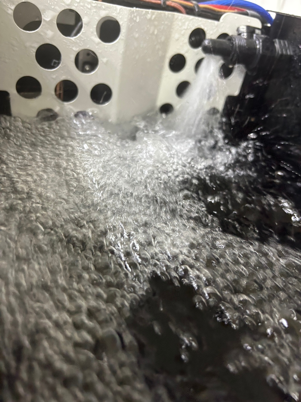 DS饤֥ Black Edition