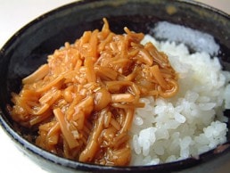 ̣�δ鸫�����ʤ�������