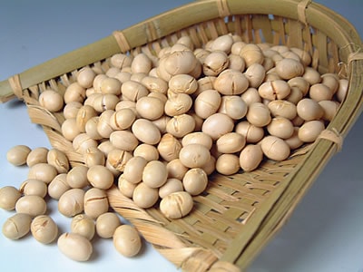 ʡƦ����ʬ�ѡ�