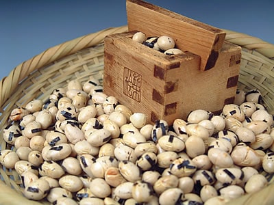 ��Τ�Ʀ(��ʬ�ѡ�