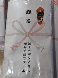 ʥǥʡʼ꿡