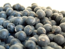 ð�ȼĻ�������Ʀ��(3L) 1kg������7ǯ�ٻ���