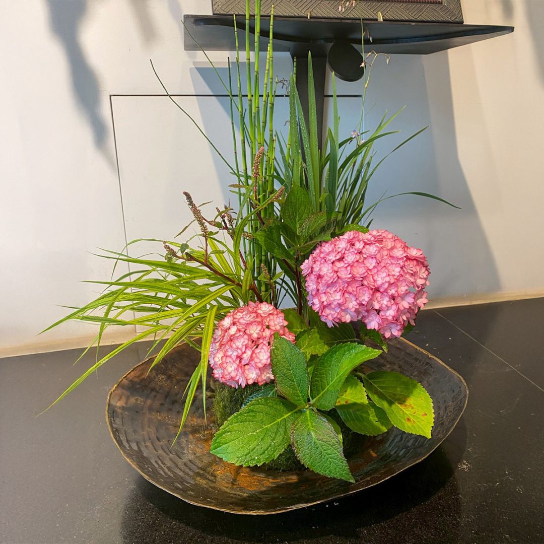 【冬の贈りもの】季節のこけ玉　お任せセット（お皿付き）