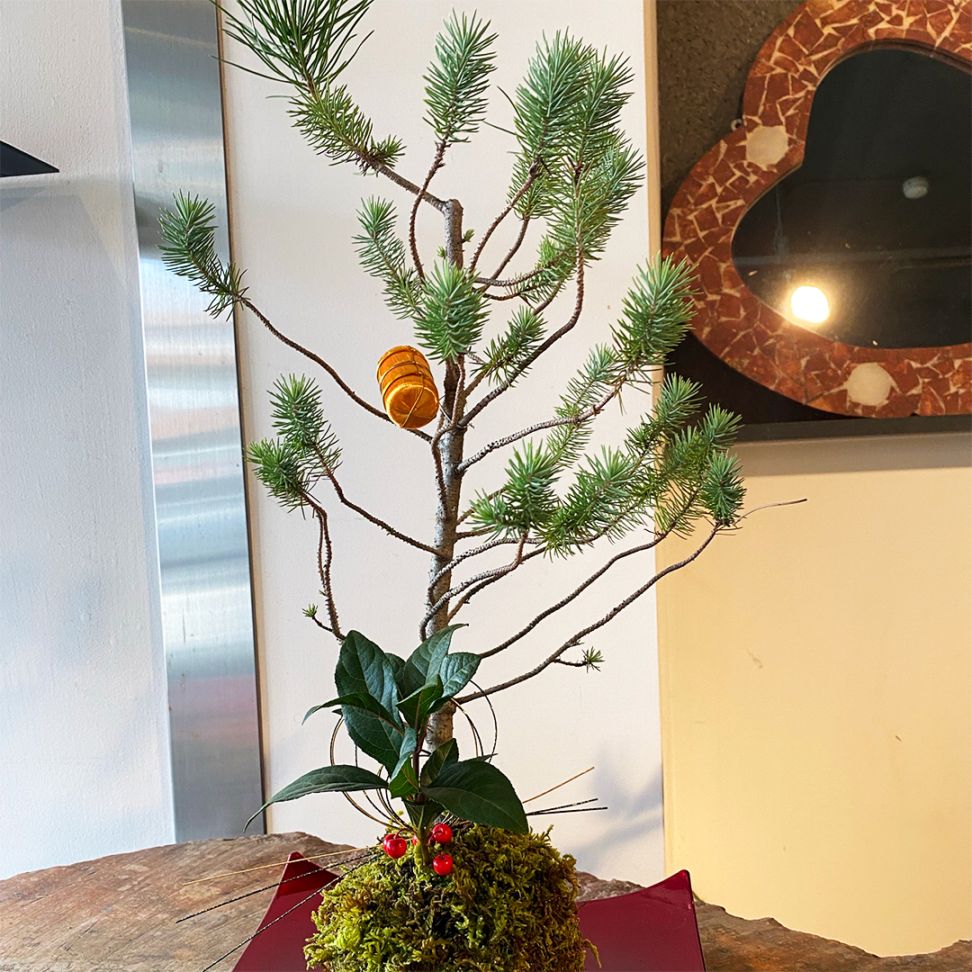 お正月を迎える苔玉おまかせ(お皿付き)